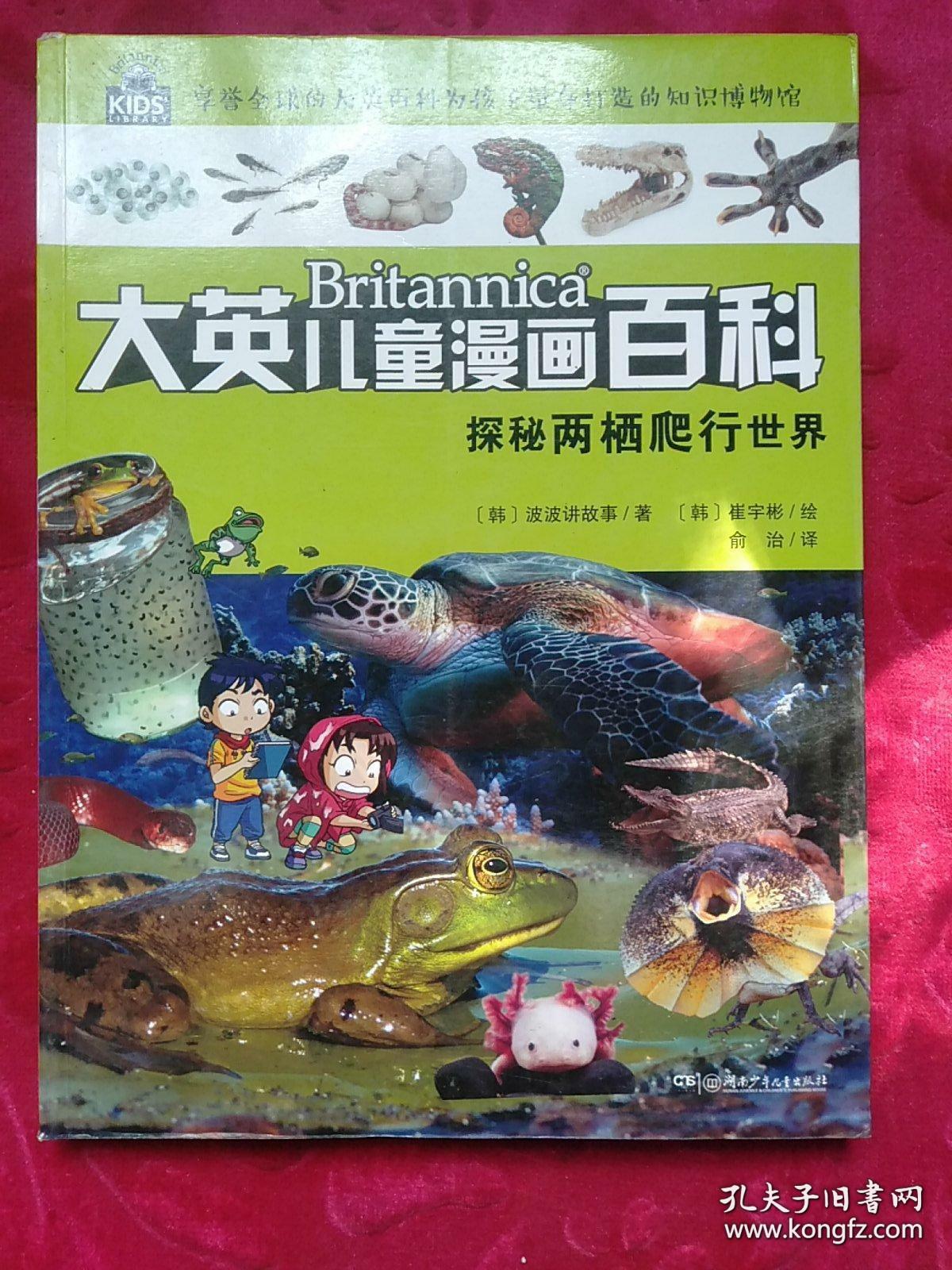 深夜的秘密乐园，独自探索B站视频的奇妙之旅-第3张图片