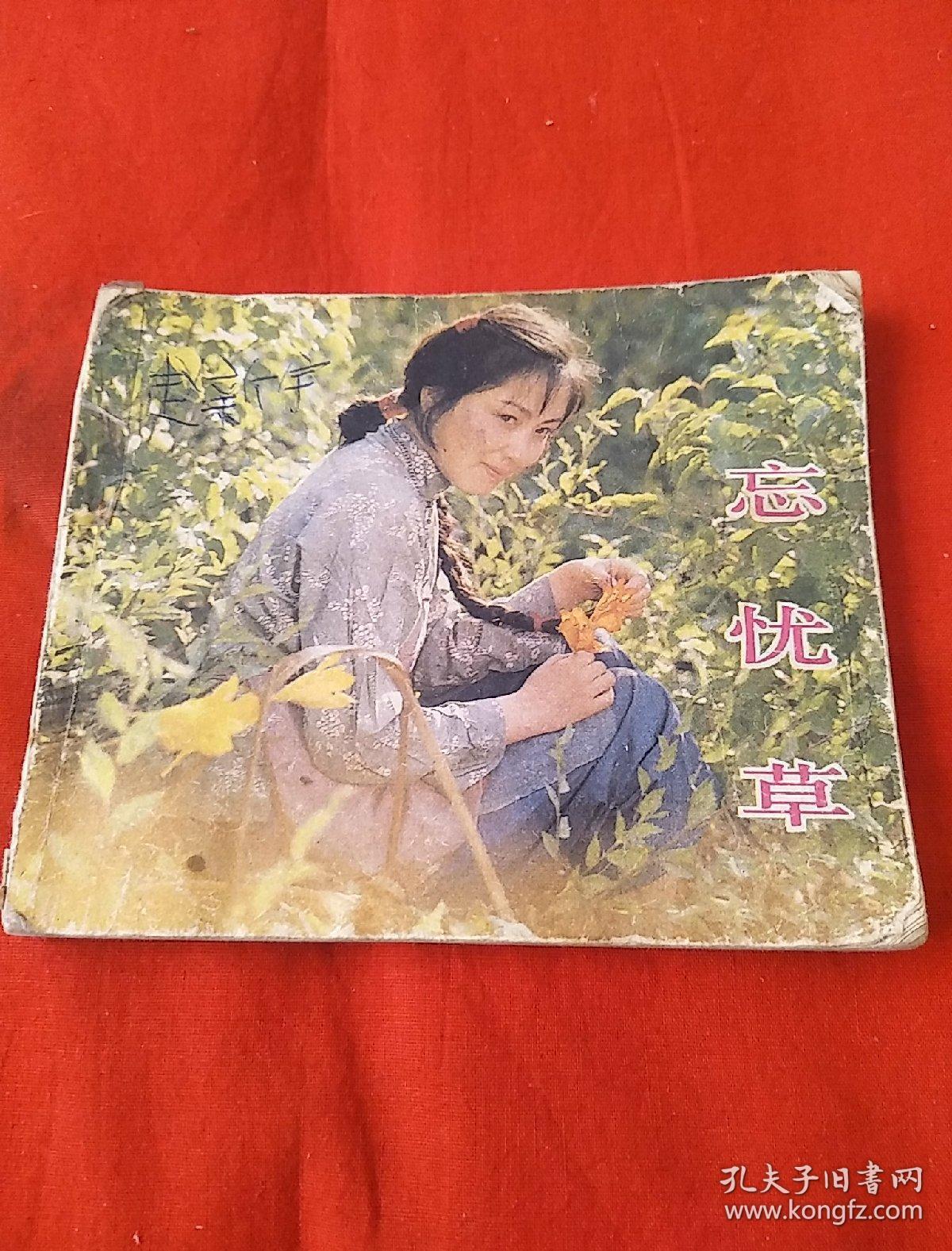 忘忧草在线社区，探索WWW直播的魅力与价值-第2张图片