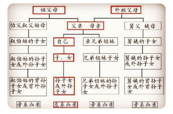 女儿如何称呼父亲的大儿媳——探讨家庭称谓的适宜性-第2张图片