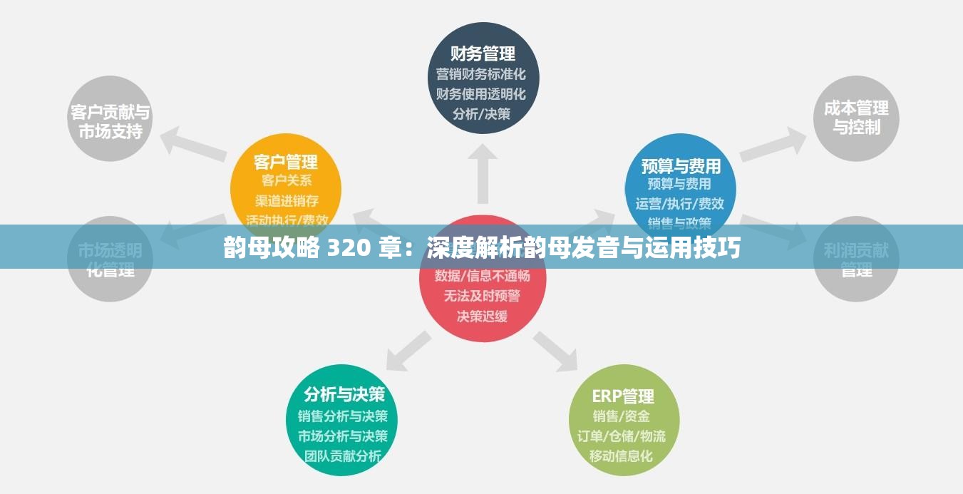 元素萨满输出，深度解析与技巧探讨