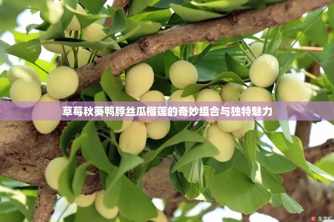 草莓榴莲向日葵秋葵香蕉大全免费探索多彩果蔬世界，草莓、榴莲、向日葵、秋葵、香蕉的奇妙之旅-第1张图片