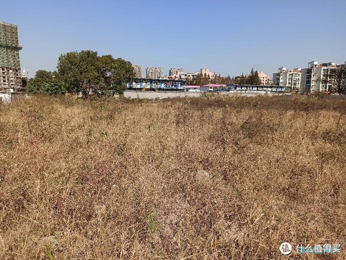 草草最新发地布入口草草最新发布入口的探索与发现-第2张图片