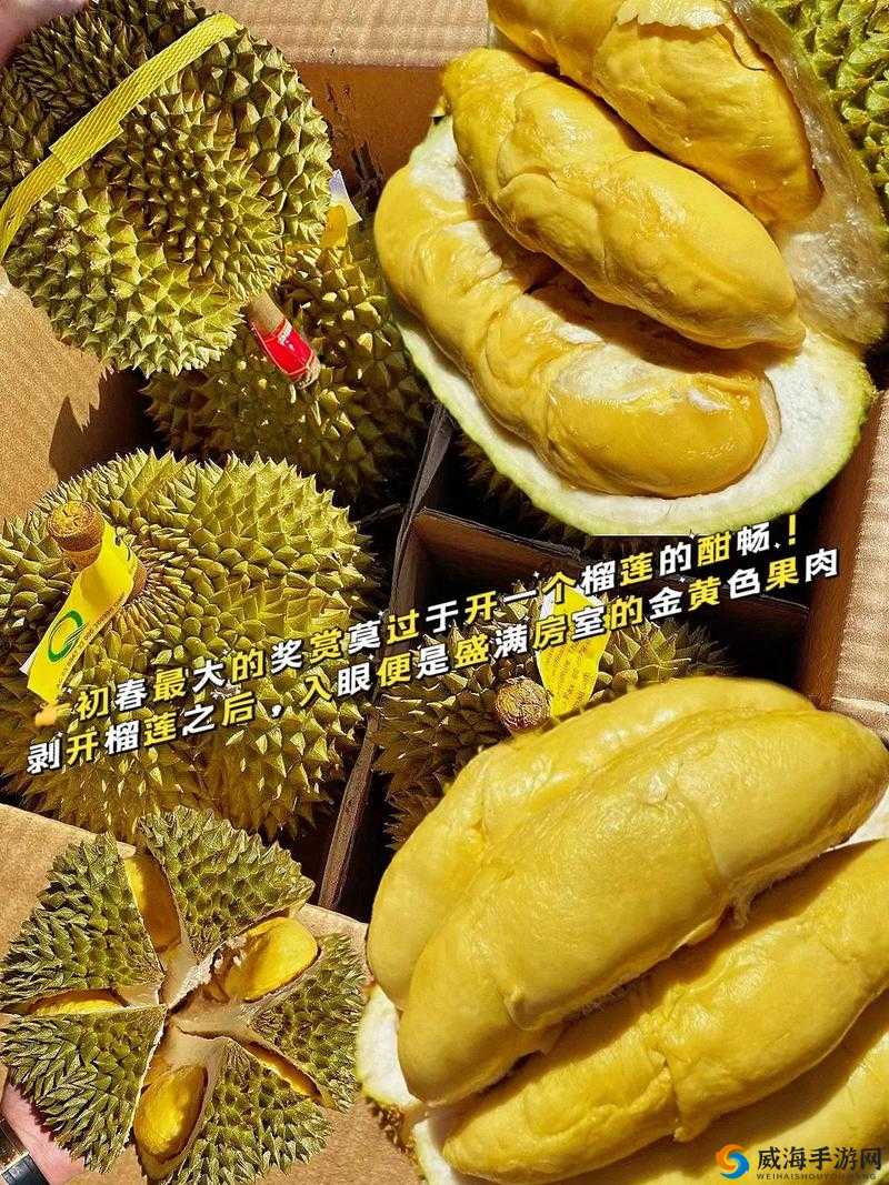 榴莲视频免费下载与高清观看的便捷体验