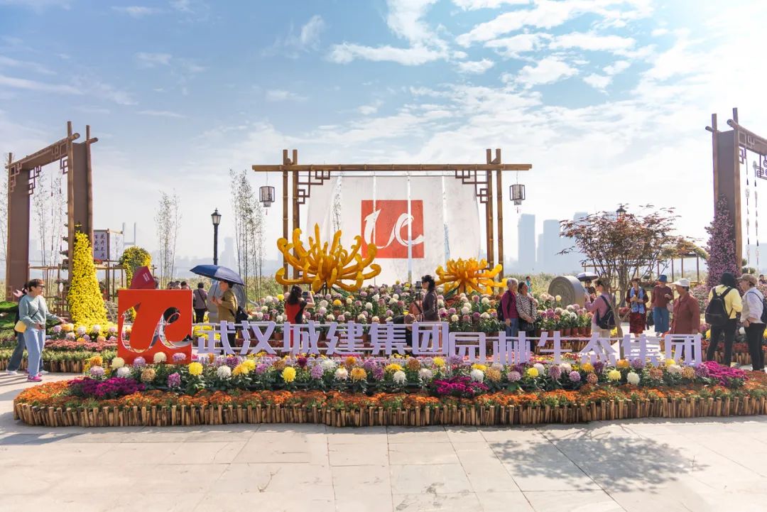 可以进你的后花园吗免费观看邀您共赏后花园的美丽-第1张图片