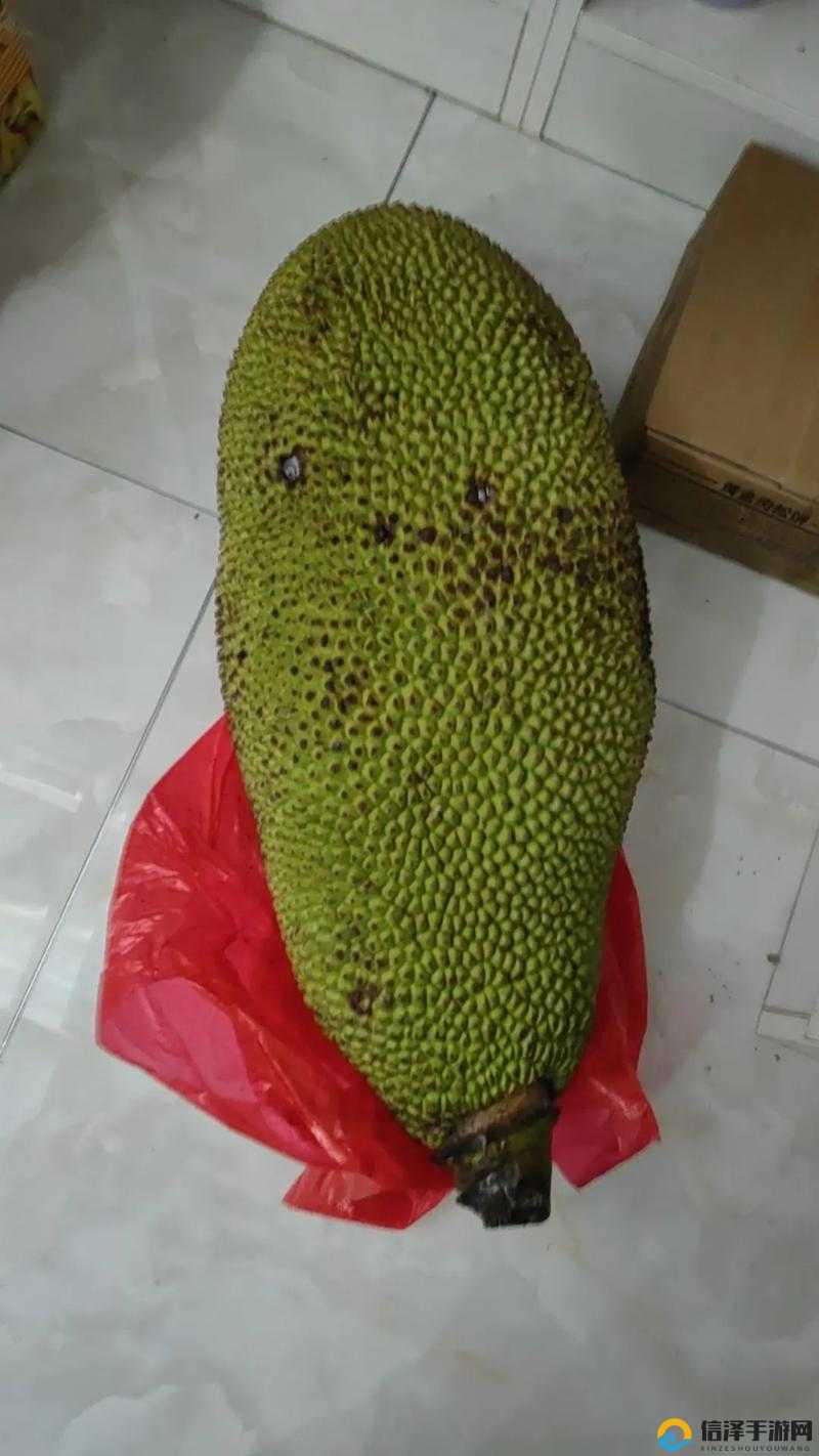 菠萝蜜视频在线观看国际菠萝蜜视频在线观看国际，探索全球视频资源的新途径-第2张图片