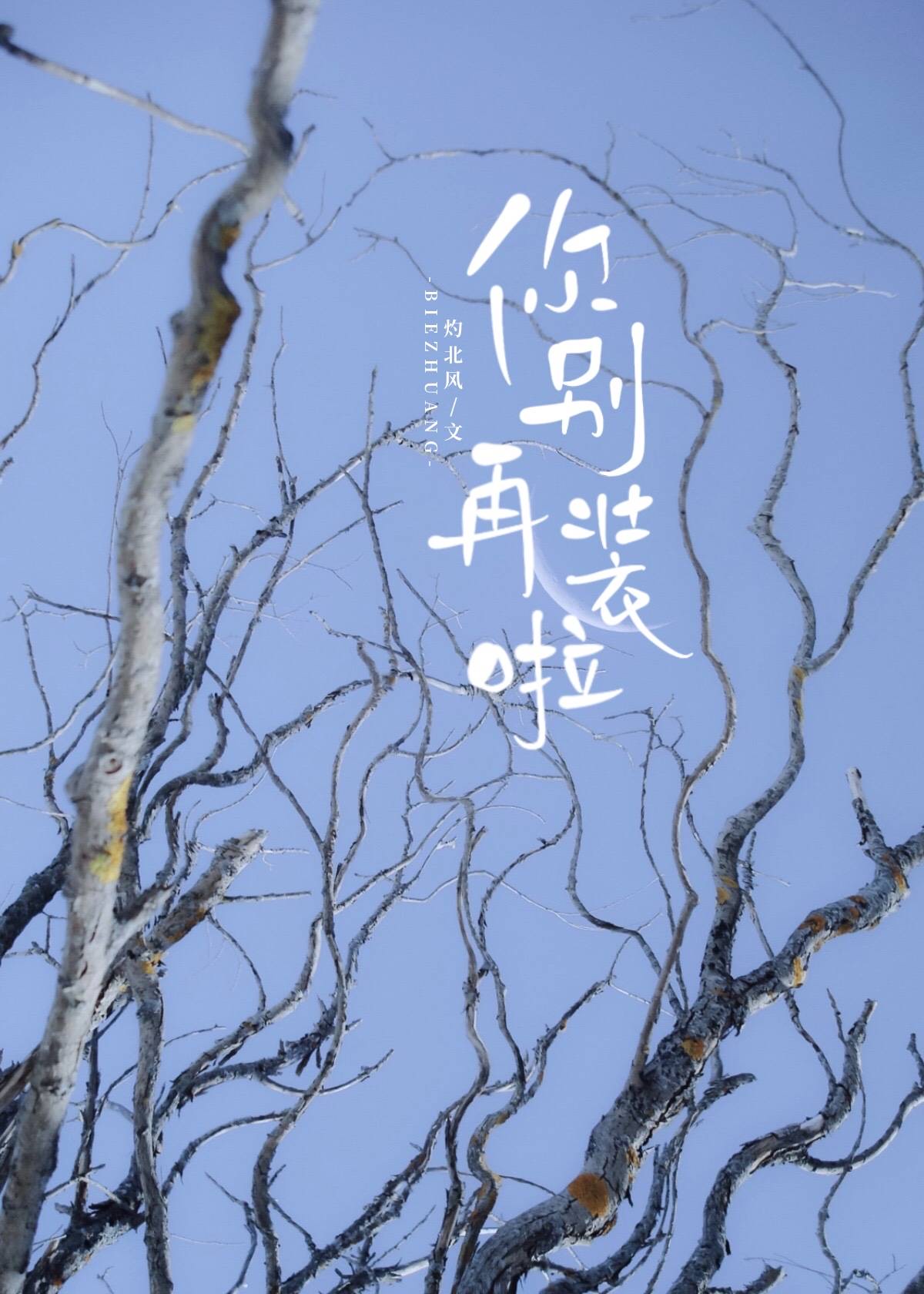 上瘾苏柔小说免费阅读笔趣阁上瘾的背后——苏柔的故事-第3张图片