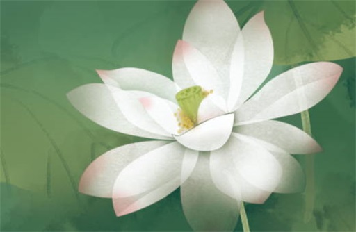周公解梦2345免费大全梦见怪物周公解梦2345免费大全，解读梦境，探索未知的心理世界