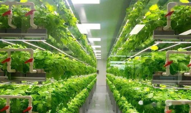 播放草庐草馏最新，绿色科技与农业的最新进展-第2张图片