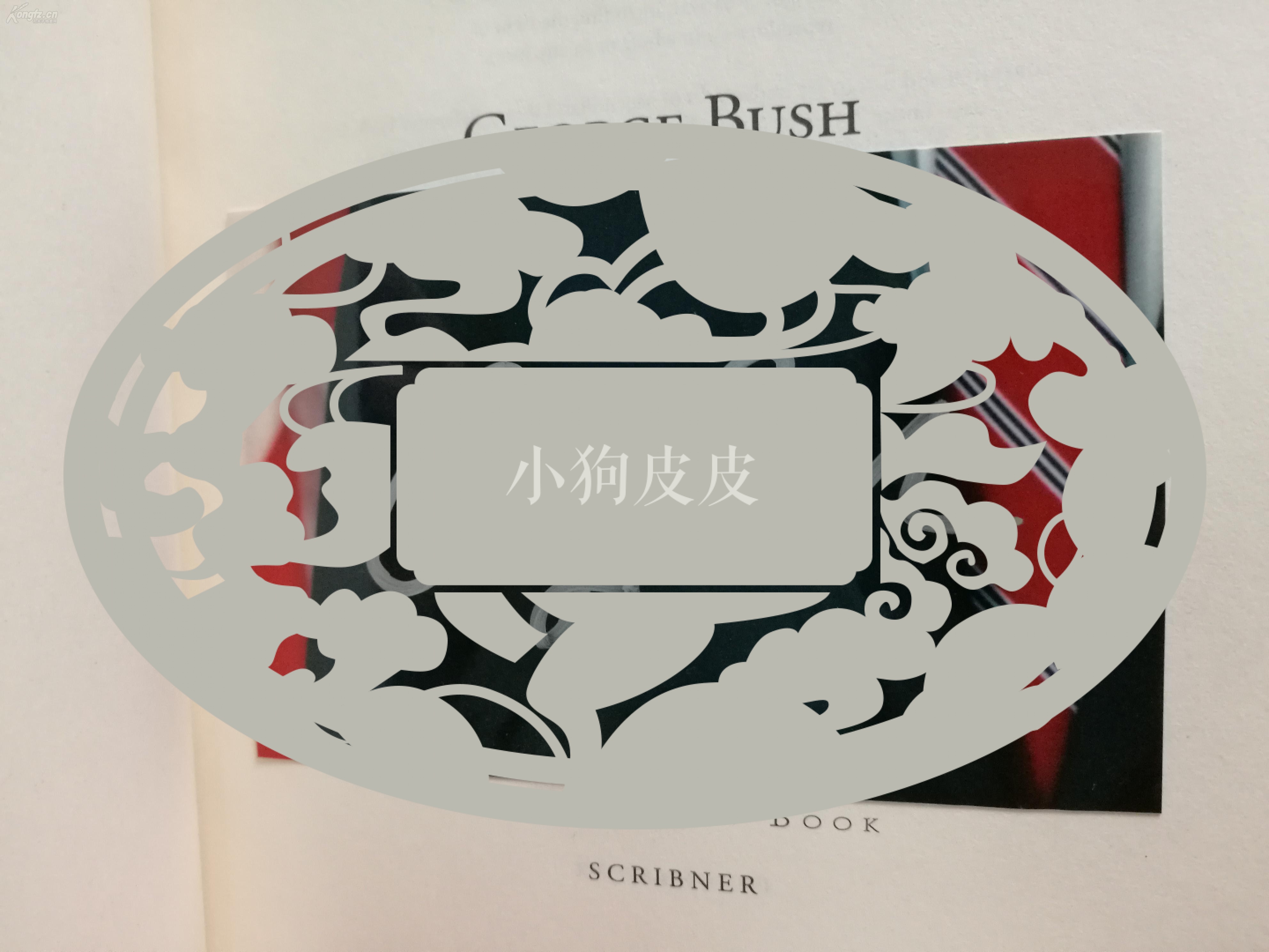 麦吉的改造沙漠风暴，绿色革命的奇迹