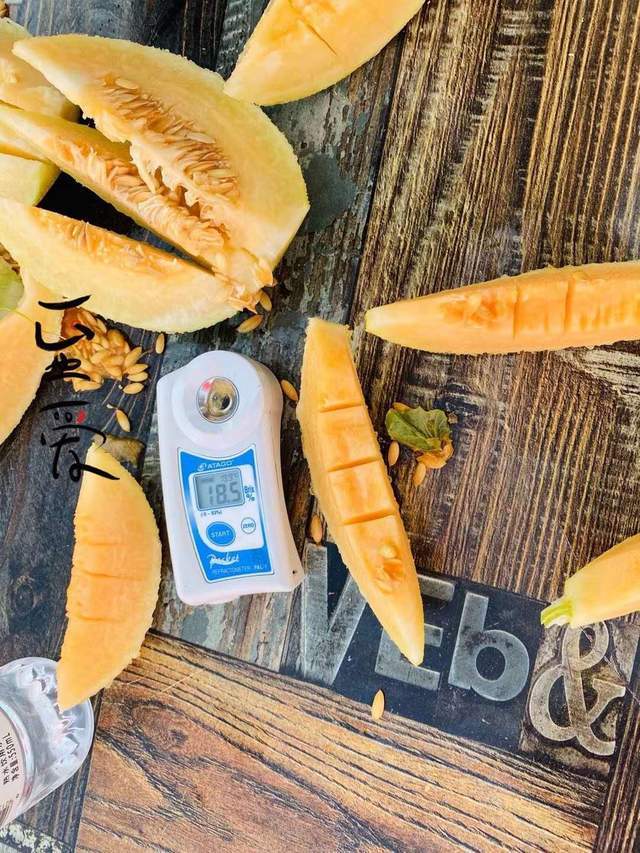 麻豆出品，必是精品——品质与创意的双重保障-第1张图片