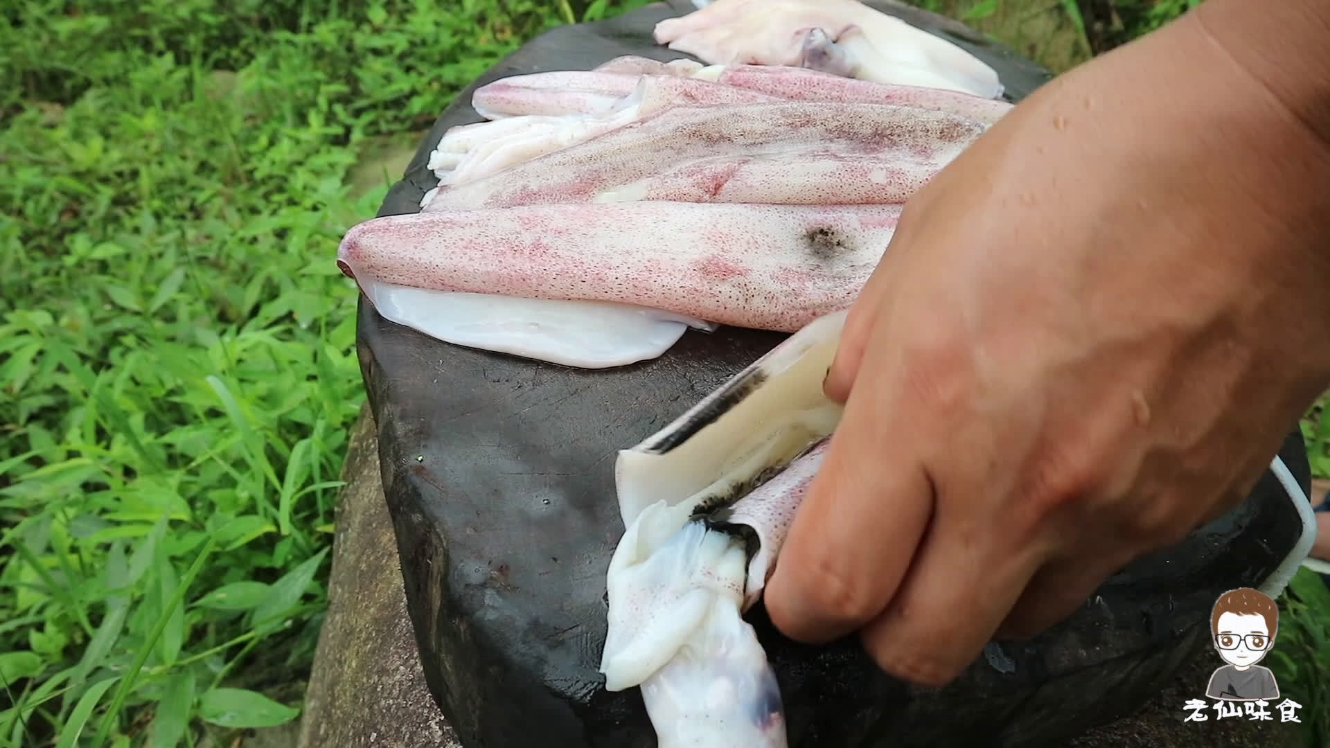 鱿鱼视频，在线免费观看最新内容