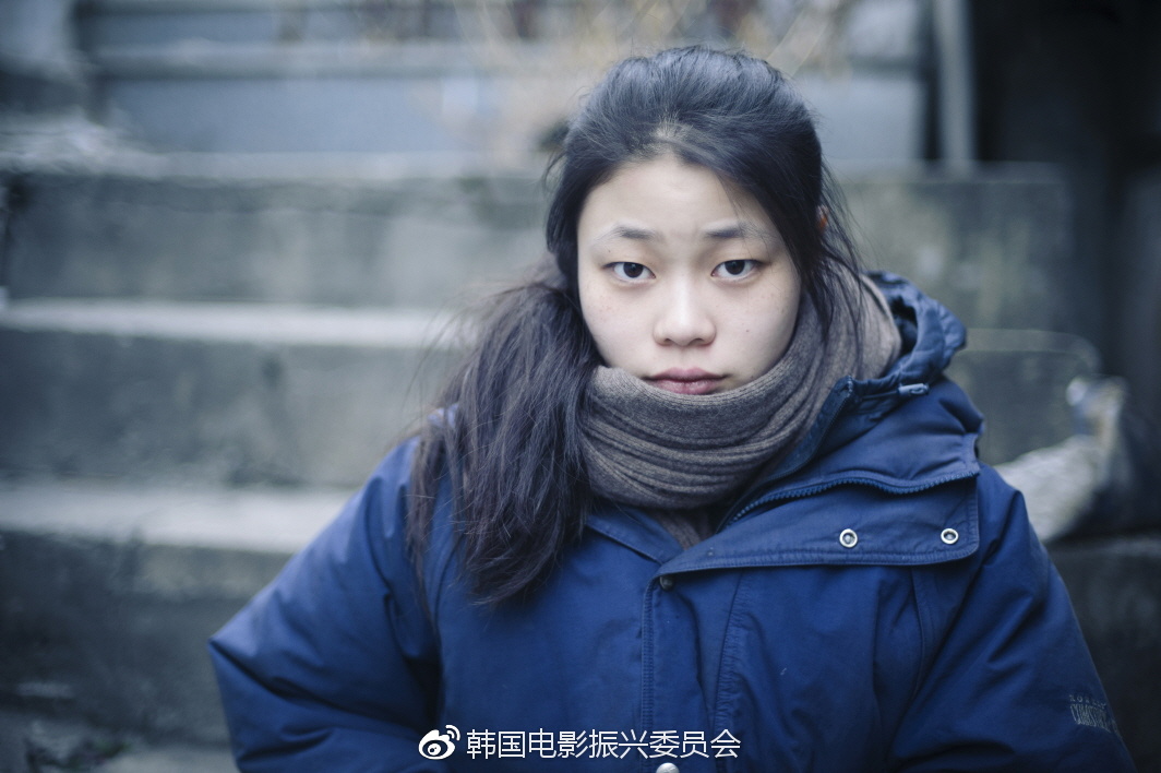 探索野花社区，免费观看韩国视频的体验-第1张图片