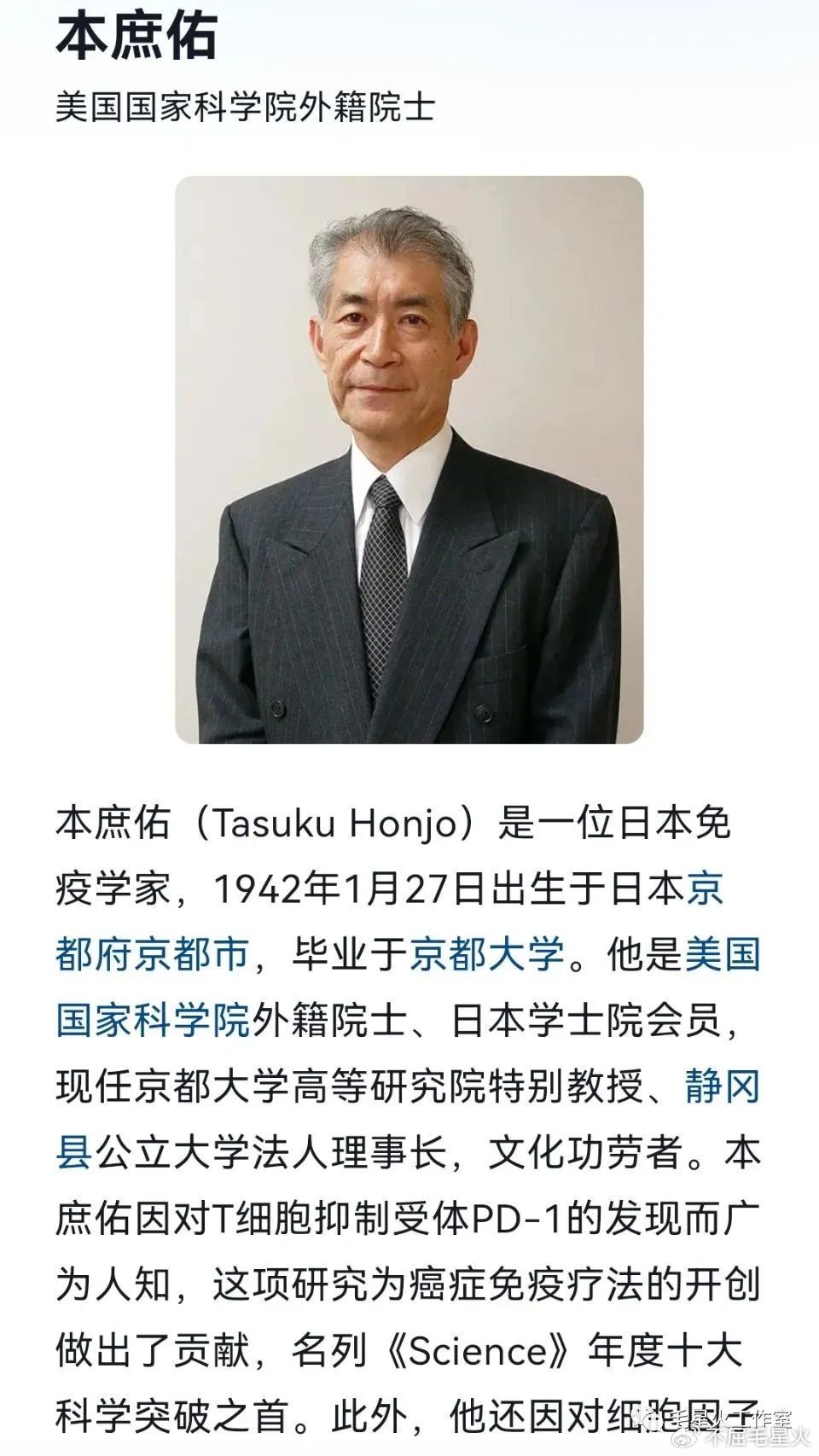 中日乱码卡一卡二仙踪林中日乱码卡一卡二仙踪林，文化交流与数字时代的探索-第2张图片