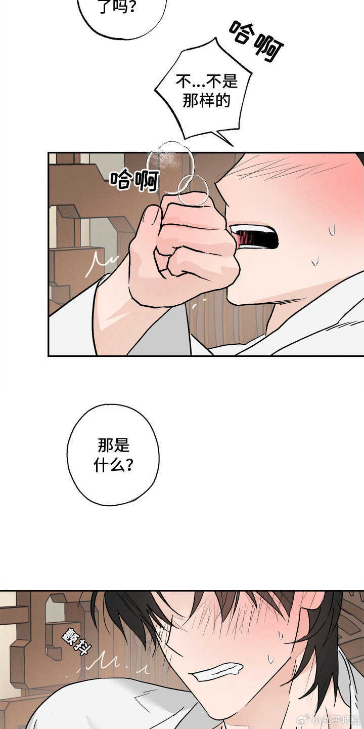 羞羞漫画下载官方版，安全、便捷的漫画阅读体验