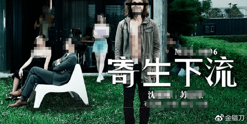 麻豆一区二区免费播放网站，了解与使用指南