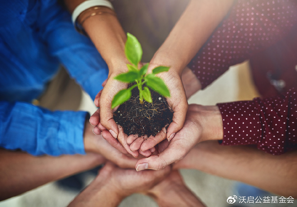 草棚的革新之路，国产canopen技术的实践与展望-第1张图片