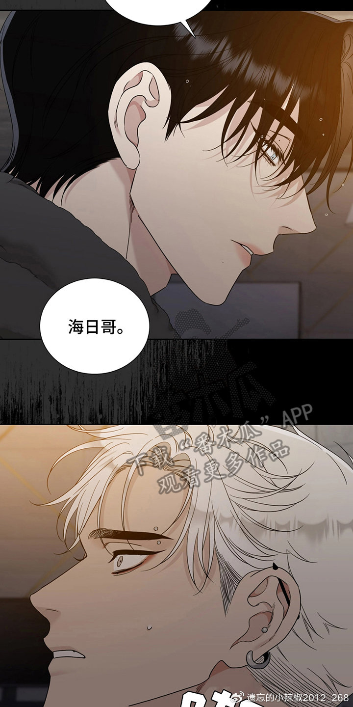 探索韩漫漫画的魅力，韩漫漫画登录页面入口详解