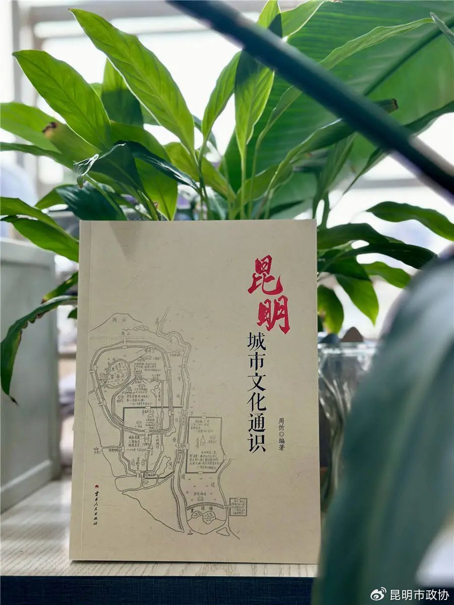 中国体内精汇编3，深度探索与文化传承