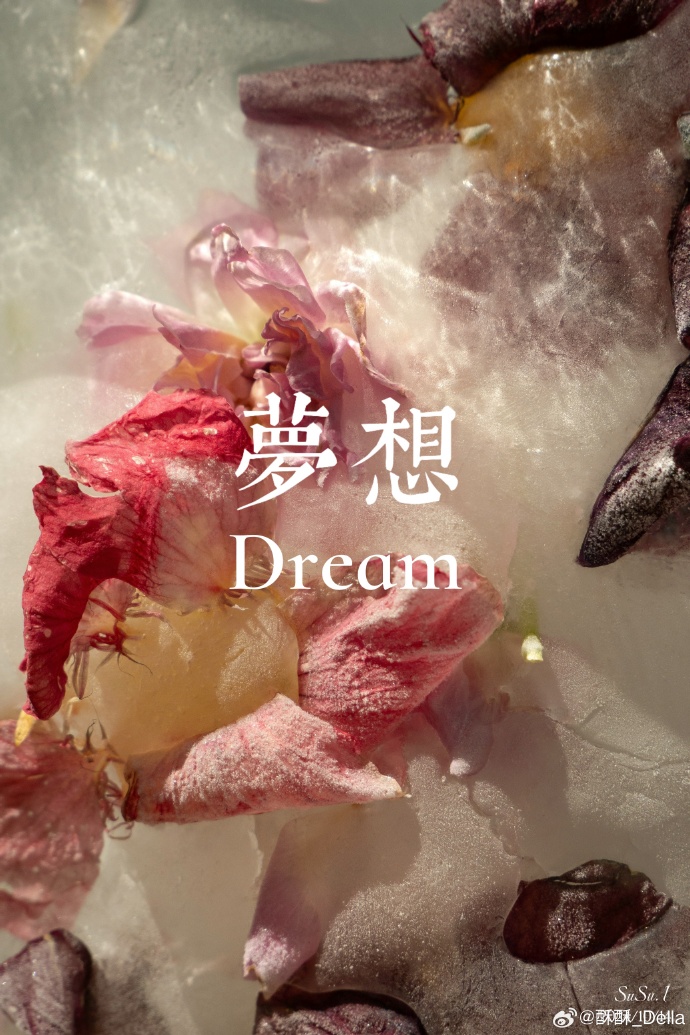 在不知疲倦的日夜里,那在不知疲倦的日夜里，追寻梦想的脚步