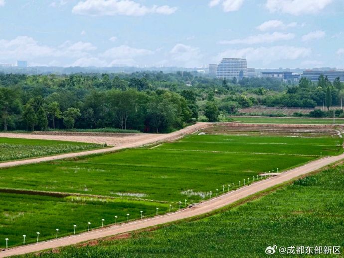 成都4p rmvb 下载成都4片P免费完整版视频下载指南-第2张图片