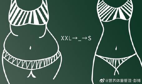 探索456gan的奥秘