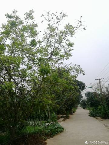 渺渺的体育课记忆
