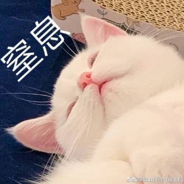 锕锵锵锵锵锵锵锵好痛在线观看锕锵锵锵锵锵锵锵的探索之旅，关于在线观看的深度体验-第2张图片