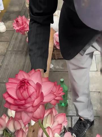 mitao99探索mitao99的奥秘-第2张图片