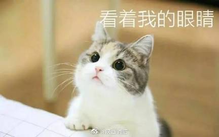 成版人快猫永久破解版，风险与后果的深度解析-第2张图片