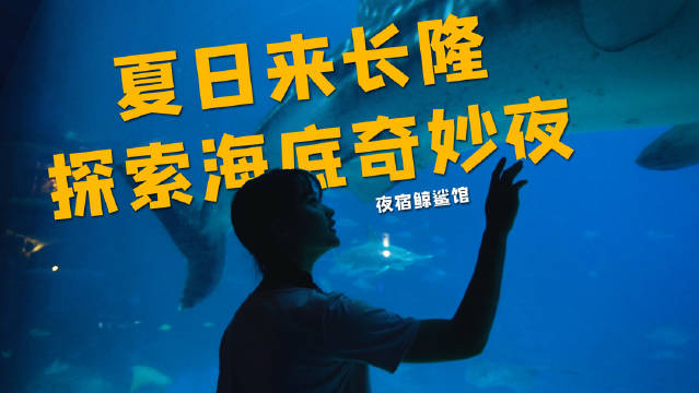 探索啦啦啦的在线视频世界-第1张图片