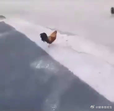 探索网络世界的精彩——啦啦啦WWW免费高清资源分享-第2张图片