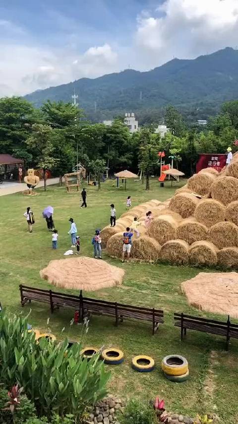 问道捉迷藏是星期几啊问道捉迷藏，一场童年的奇幻冒险-第3张图片
