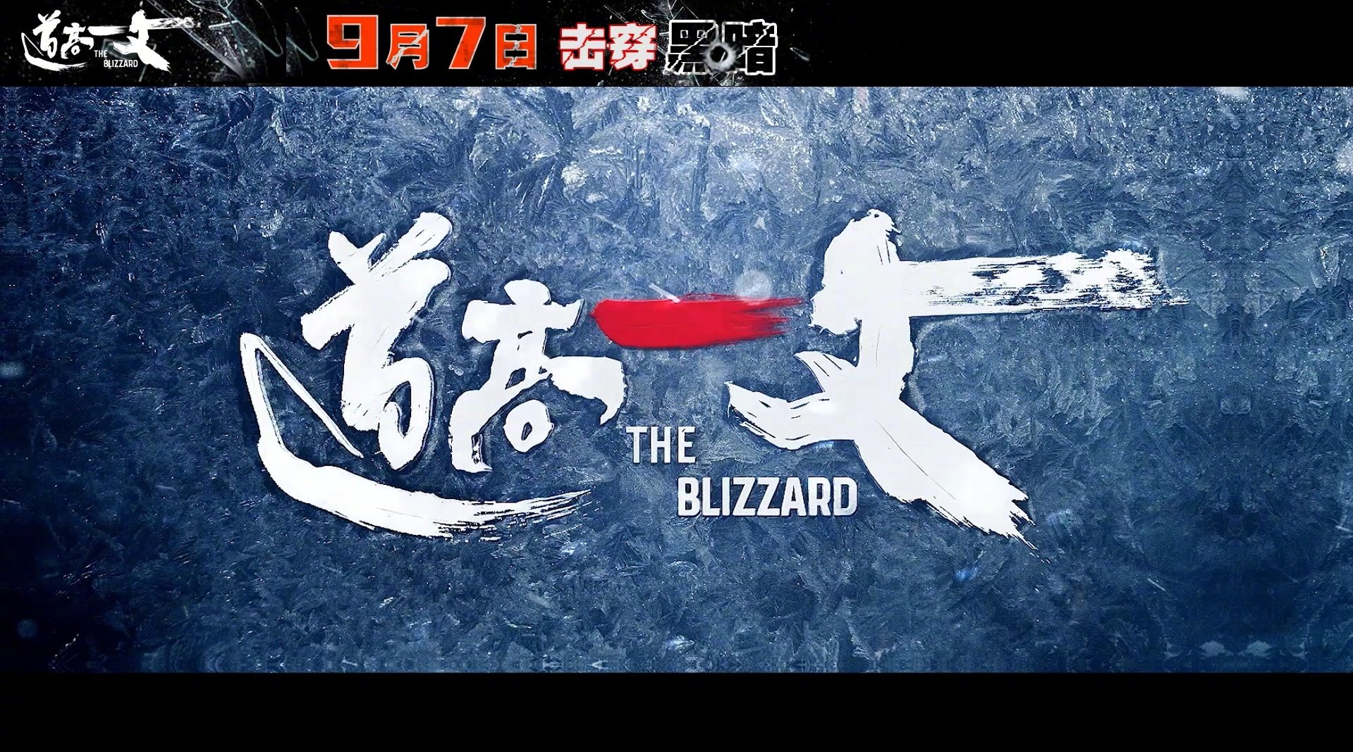 爱奇艺会员号，解锁优质观影体验的秘密钥匙