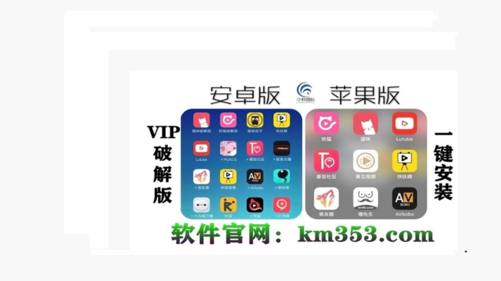 APP快喵直进网站探索APP快喵直进网站的使用体验