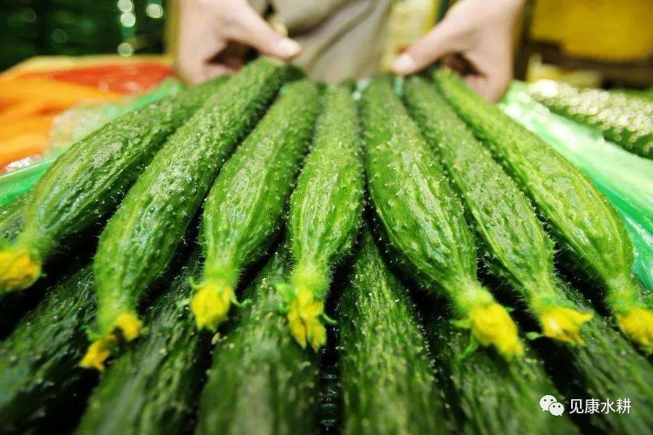 黄瓜事件后国家出手了黄瓜事件，一场关于误解与沟通的深刻反思