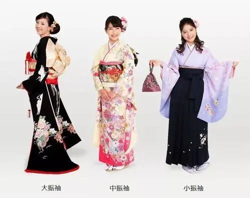 日本成人文化，深度探索与理解
