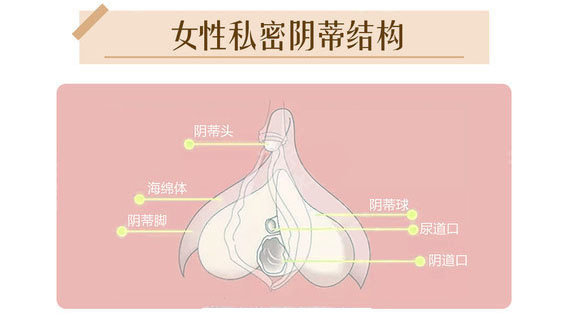 又大又广探索女性私密部位——大荫蒂的独特魅力-第2张图片