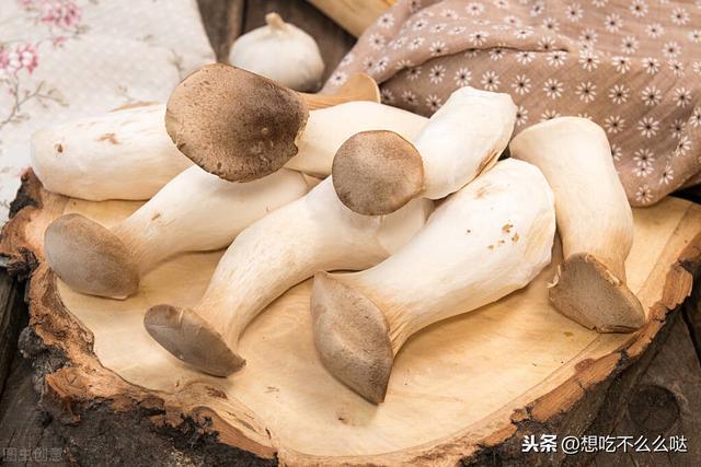 梁教授的秘制食谱，稳住TXT肉馅小水饺-第2张图片