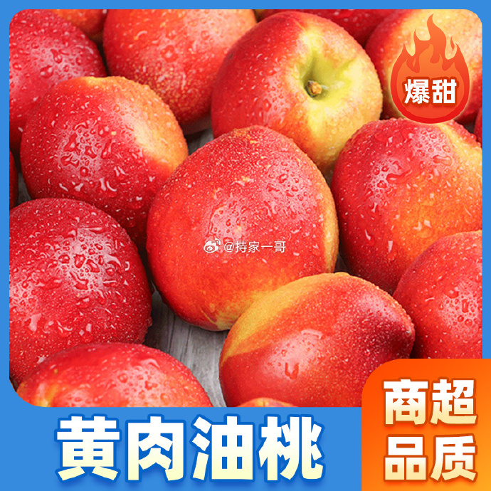 9612黄桃视频播放探索9612黄桃视频播放的魅力与深度-第3张图片