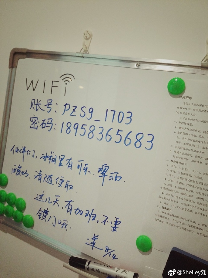 四人租房生活记，换着体验，共享快乐-第3张图片