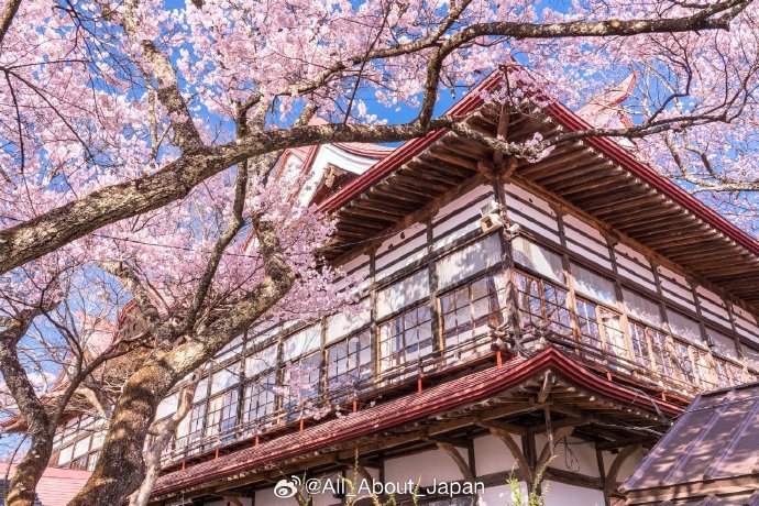 天下第一社区看日本探索日本文化之美——天下第一社区的独特视角-第2张图片