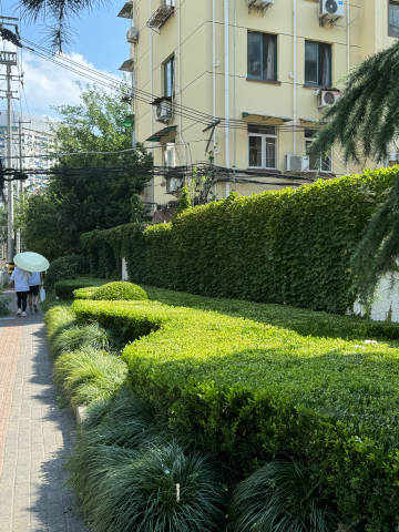 悸动地铁1v3笔趣阁林娟悸动地铁，一场意外的邂逅-第1张图片