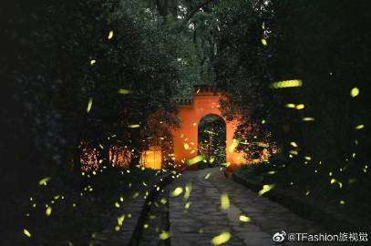 花季传媒旧版免费三次花季传媒旧版免费体验，三次难忘的视觉之旅-第1张图片
