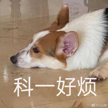 东北粗口歌曲大全东北粗口歌曲，独特的艺术与文化现象