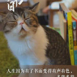 五月色网站，探索网络世界的色彩之旅-第2张图片