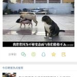 打牌生猴子的视频大全原声版深夜的娱乐时光，两人共度的扑克之夜-第2张图片