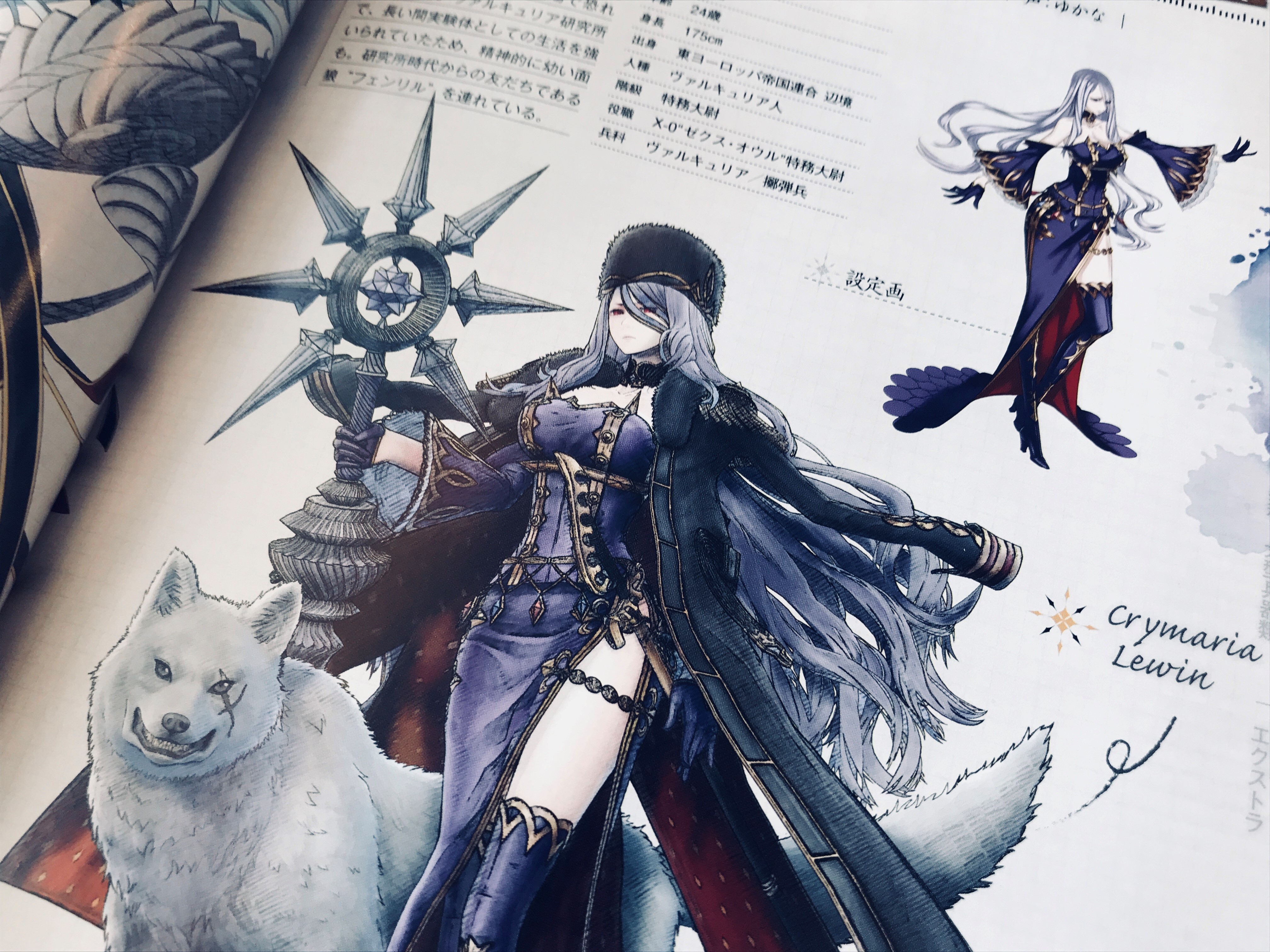 战场女武神4隐藏人物战场女武神4，英勇的荣耀-第3张图片