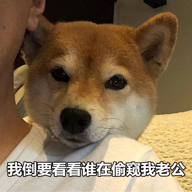 我的狗老公一拉婆婆下水在线观看我的狗老公与拉婆婆下水的故事（一）-第1张图片