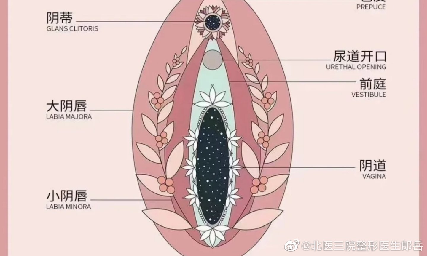 农村妇女肥大图片大全农村妇女与肥大现象，健康、生活与发展的多维思考-第3张图片