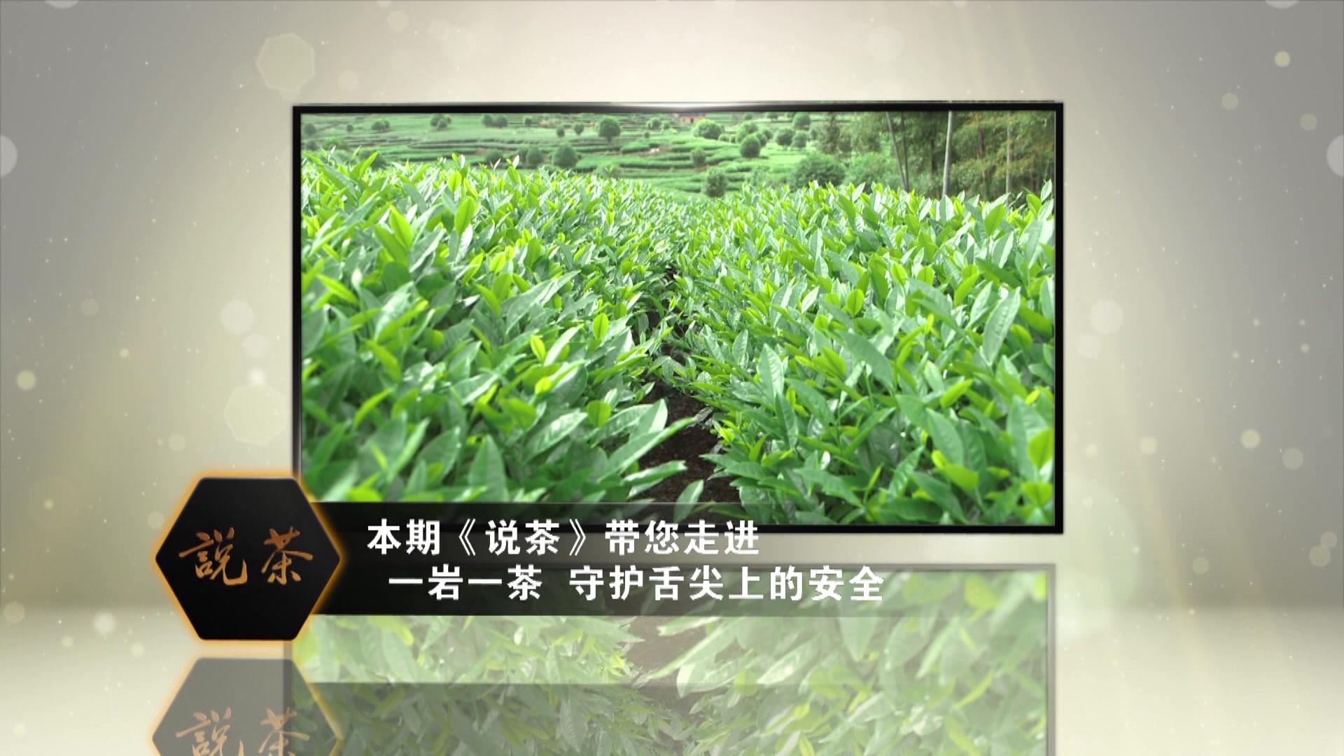 舌头在花丛中滑动舌尖之旅，探索舌尖下的花朵-第2张图片
